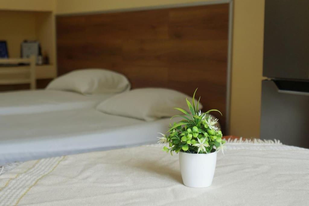 Alle'S M Shyri Studio Apartment Tirana Exterior foto